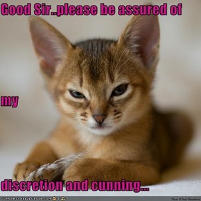 Good Sir..please be assured of my  discretion and cunning...