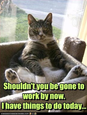 Shouldn't you be gone to work by now.  I have things to do today...