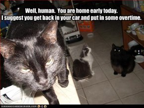 Well, human.  You are home early today. I suggest you get back in your car and put in some overtime.