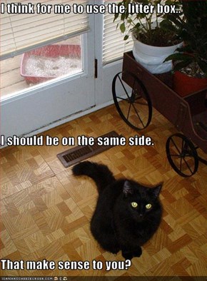 I think for me to use the litter box.. I should be on the same side. That make sense to you?