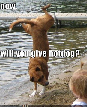 now, will you give hotdog?