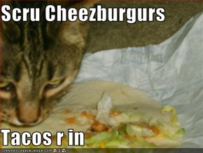 Scru Cheezburgurs  Tacos r in