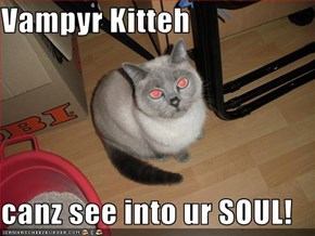 Vampyr Kitteh  canz see into ur SOUL!