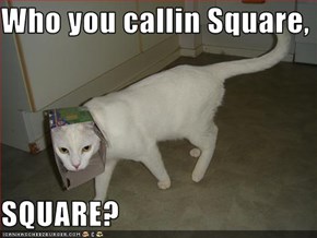 Who you callin Square,   SQUARE?