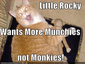 Little Rocky Wants More Munchies not Monkies!