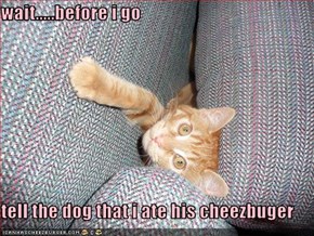 wait.....before i go   tell the dog that i ate his cheezbuger