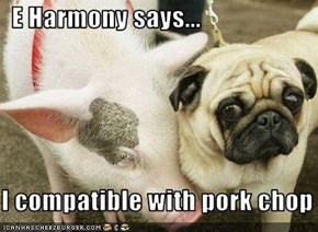 E Harmony says...  I compatible with pork chop !