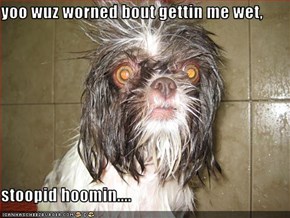 yoo wuz worned bout gettin me wet,  stoopid hoomin....