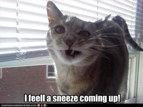 I feell a sneeze coming up!