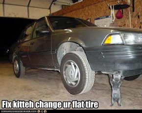 Fix kitteh change ur flat tire