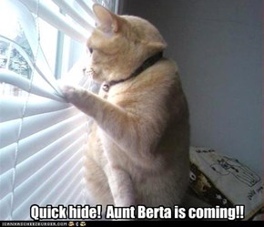 Quick hide!  Aunt Berta is coming!!