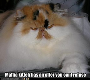 Maffia kitteh has an offer you cant refuse