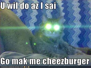 U wil do az I sai   Go mak me cheezburger
