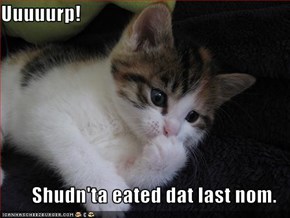 Uuuuurp!  Shudn'ta eated dat last nom.