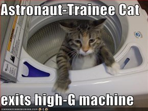 Astronaut-Trainee Cat  exits high-G machine
