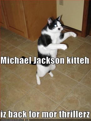Michael Jackson kitteh iz back for mor thrillerz