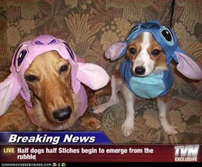 Breaking News - Half dogs half Stiches begin to emerge from the rubble