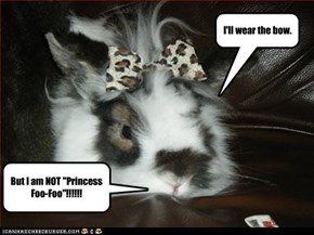 I'll wear the bow.