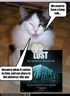 feline guidance counselor