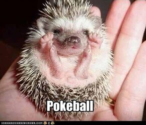 Pokeball Go!!!