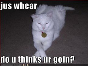 jus whear  do u thinks ur goin?