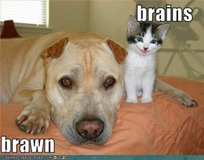 brains  brawn