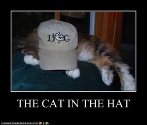THE CAT IN THE HAT