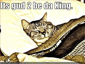 Its gud 2 be da King.
