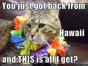 You just got back from Hawaii    and THIS is all I get?