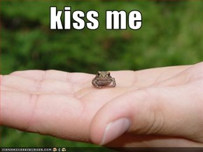 kiss me