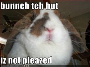 bunneh teh hut  iz not pleazed