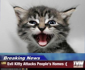 Breaking News - Evil Kitty Attacks People's Homes :[