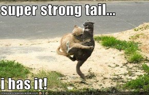 super strong tail...  i has it!