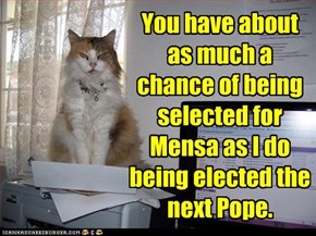 And the cat's a Catholic