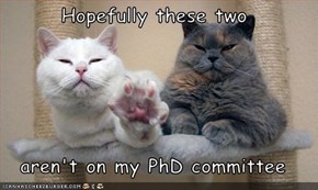 Hopefully these two  aren't on my PhD committee