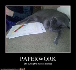 PAPERWORK