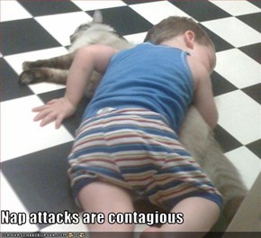 Nap attacks are contagious