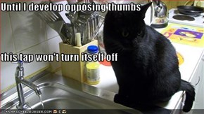 Until I develop opposing thumbs this tap won't turn itself off