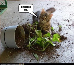 It mocked me.