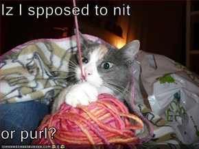 Iz I spposed to nit  or purl?