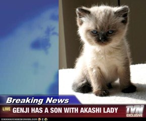 Breaking News - GENJI HAS A SON WITH AKASHI LADY
