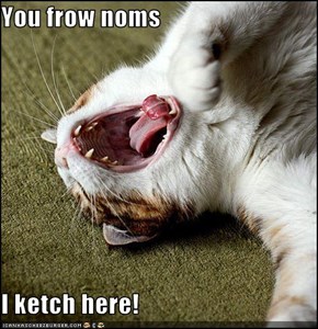 You frow noms  I ketch here!