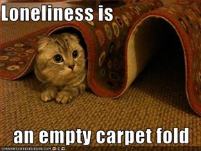 Loneliness is  an empty carpet fold