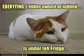 EBERYFING  I ebber owned or lubbed...