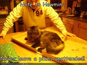 Note to Hewmin:  Never leave a pizza unattended!