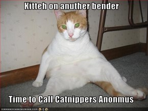 Kitteh on anuther bender  Time to Call Catnippers Anonmus