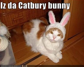 Iz da Catbury bunny