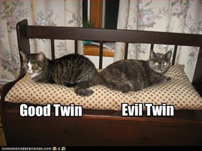 Good Twin