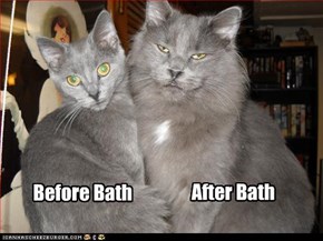 Before Bath