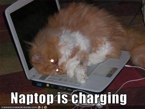 Naptop is charging